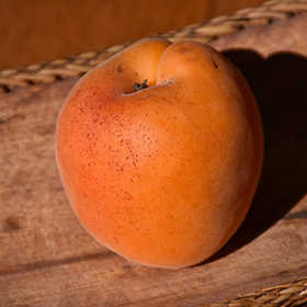 Goldstrike Apricot