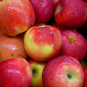 Edible Fruits