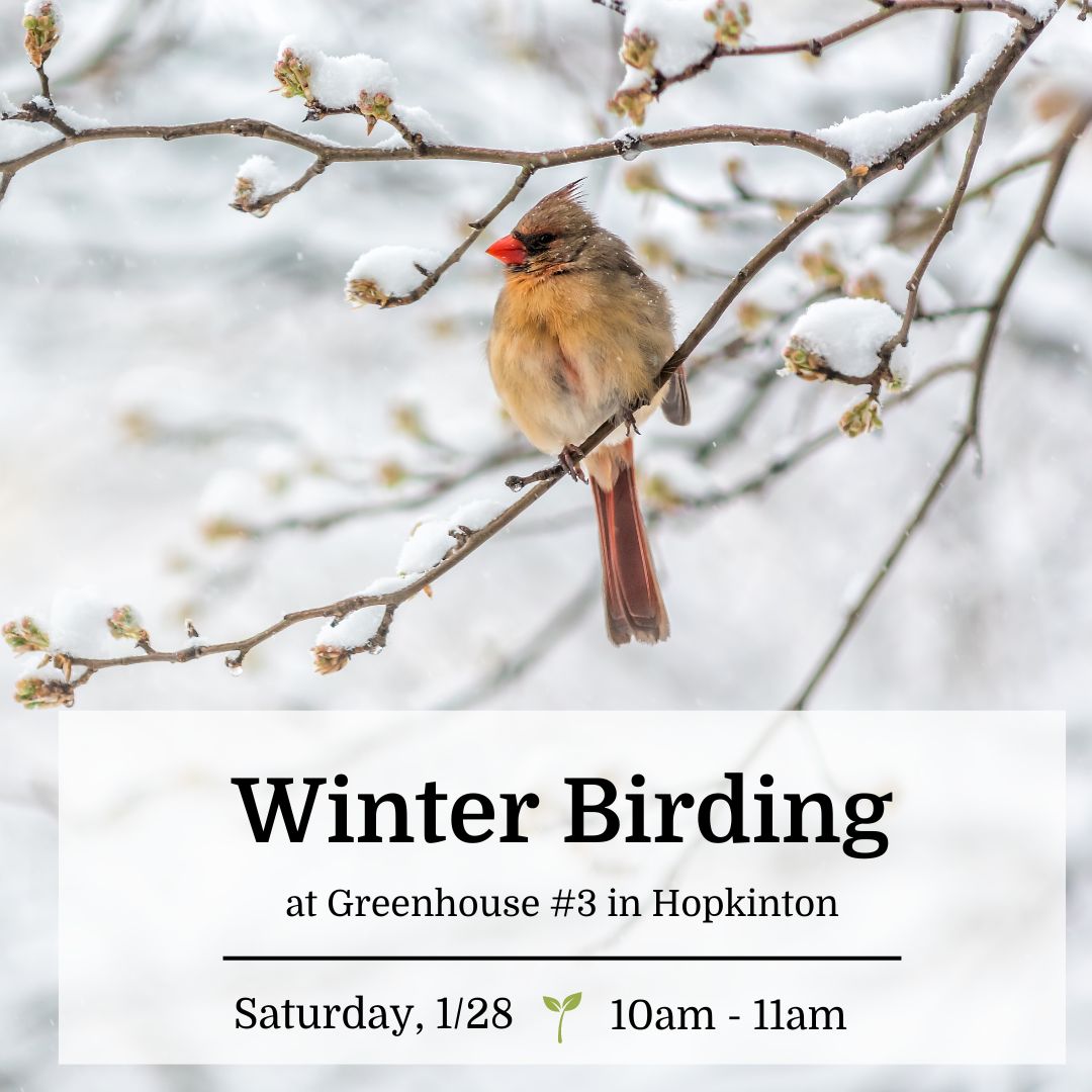 Winter Birding Seminar