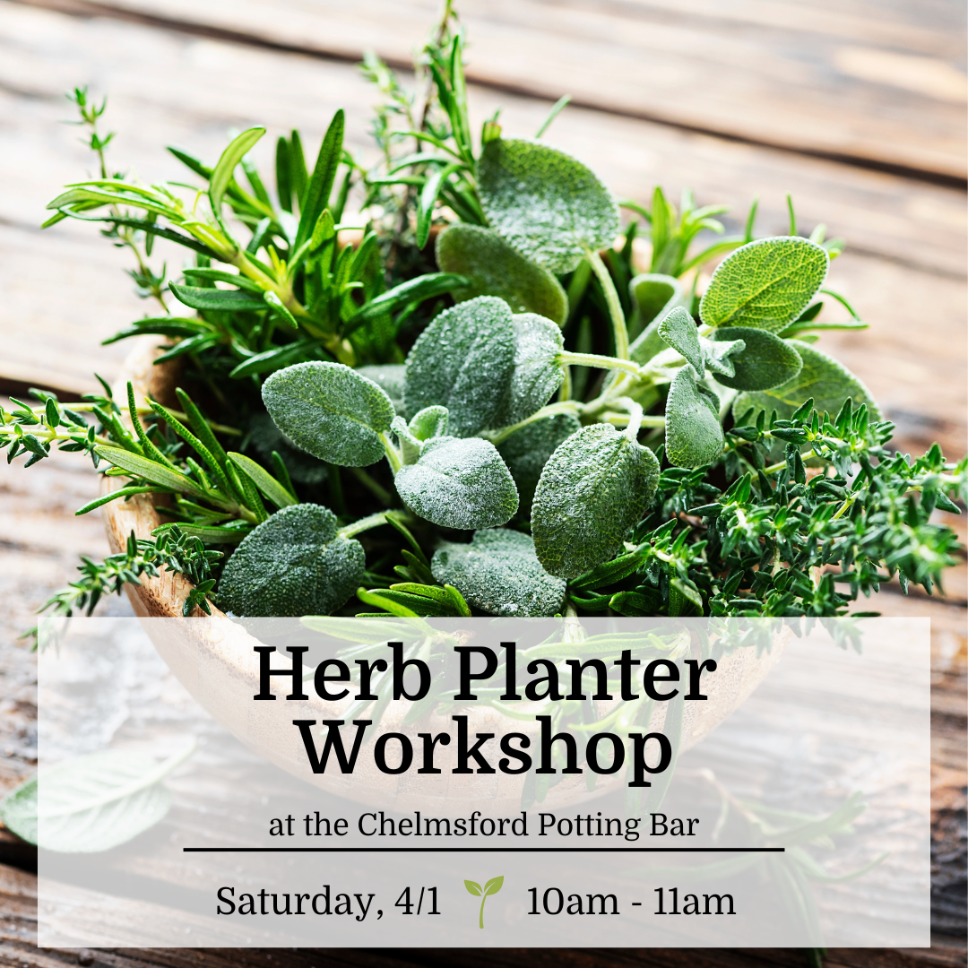 Herb Planter Workshop