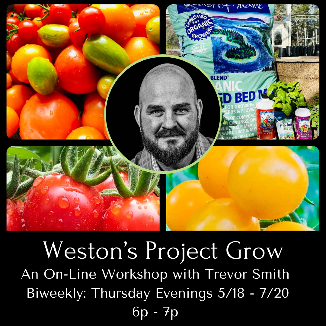 Weston's Project Grow