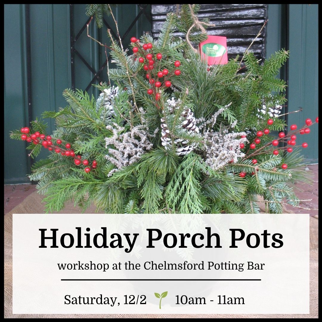 Holiday Porch Pot Workshop - Chelmsford