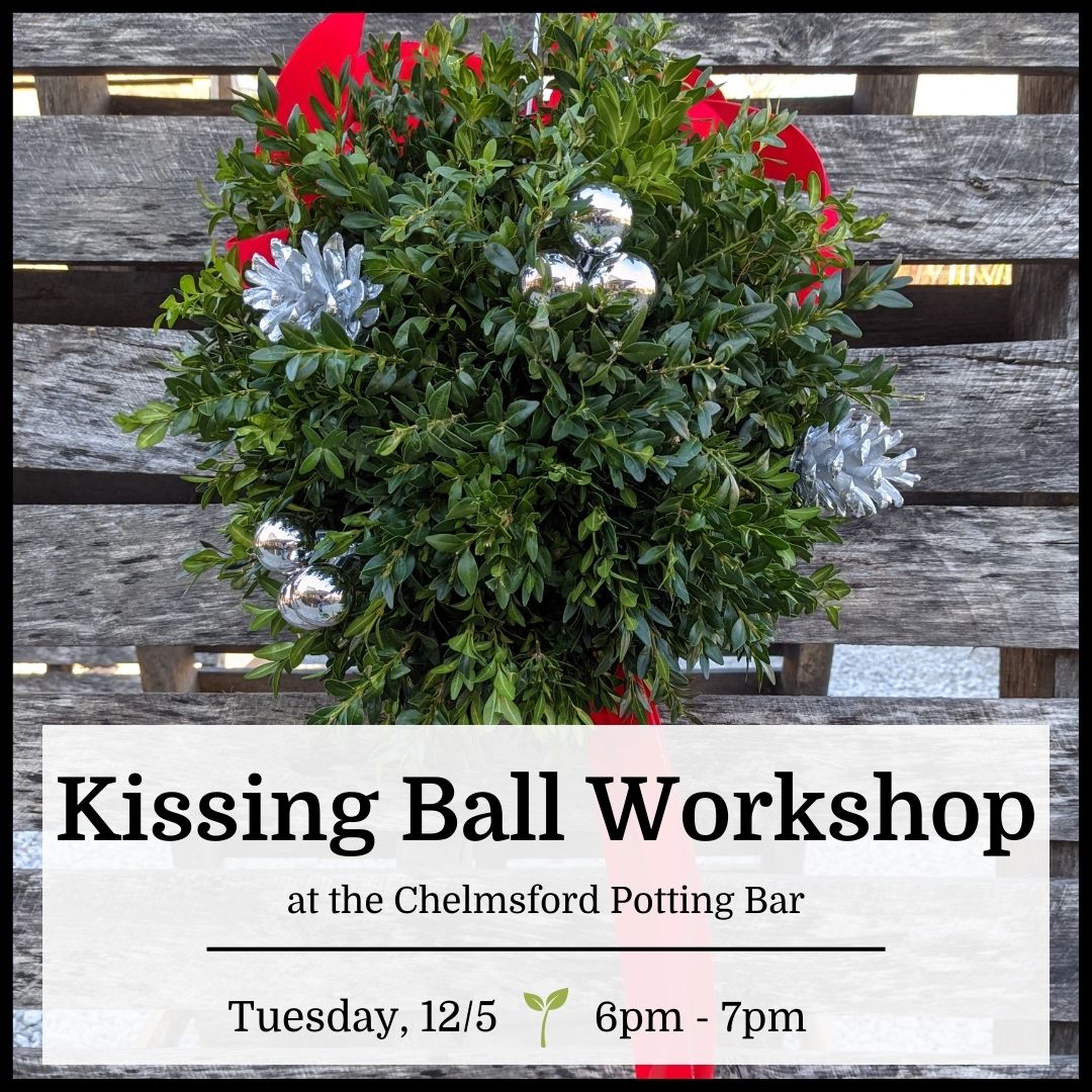 Kissing Ball Workshop - Chelmsford