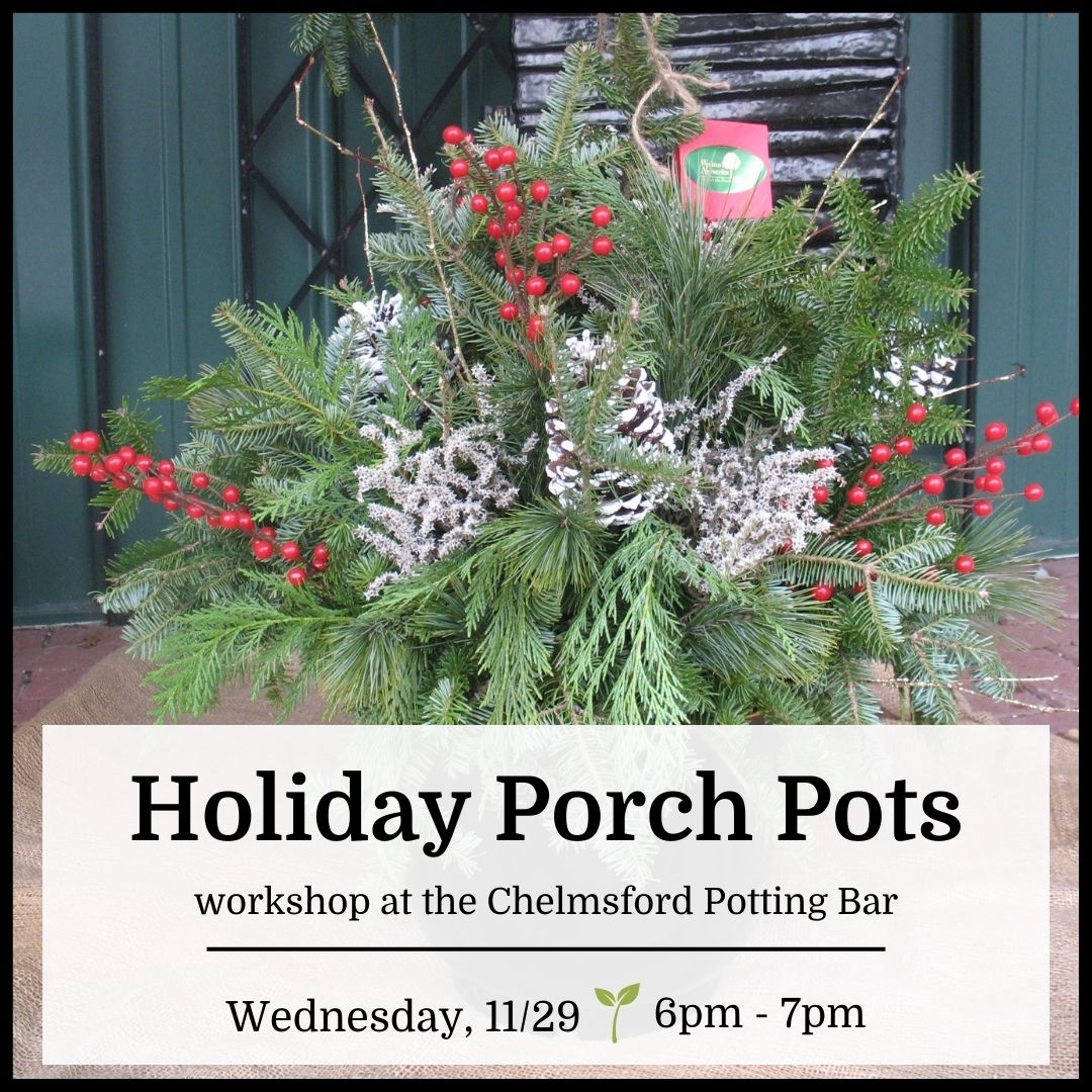 Holiday Porch Pot Workshop - Chelmsford