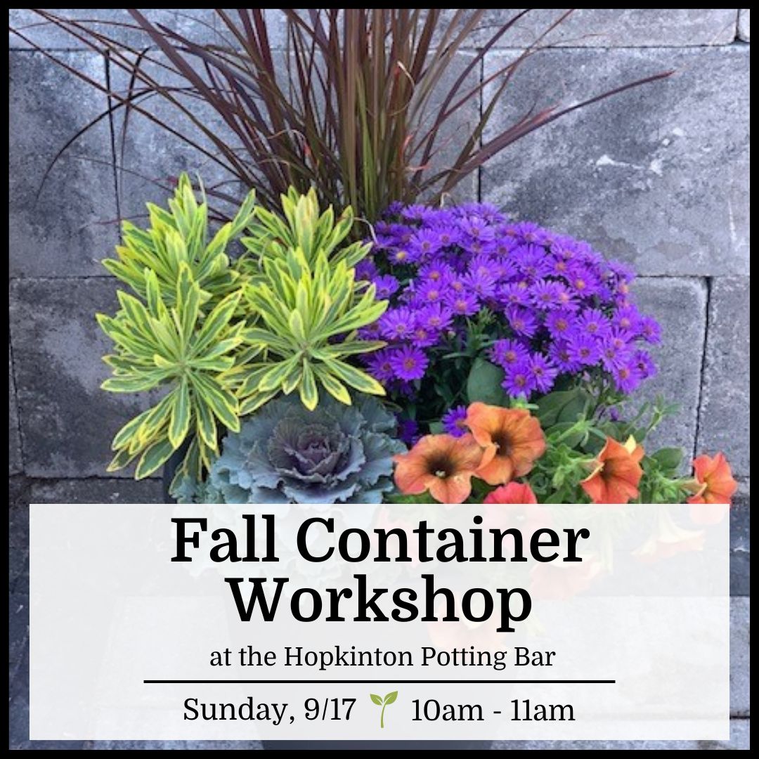 Fall Container Workshop - Hopkinton