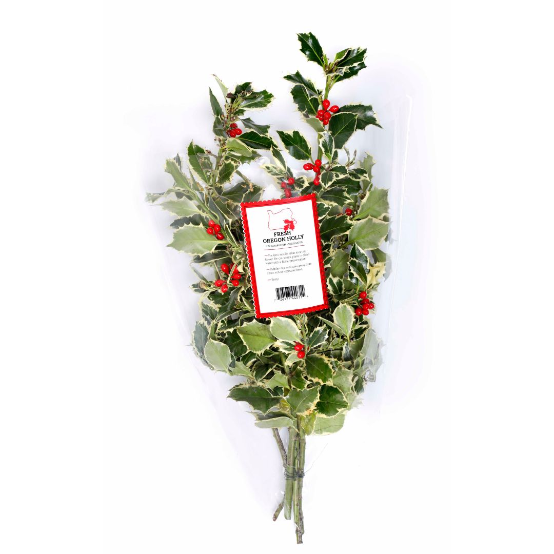 Variegated Holly Bouquet