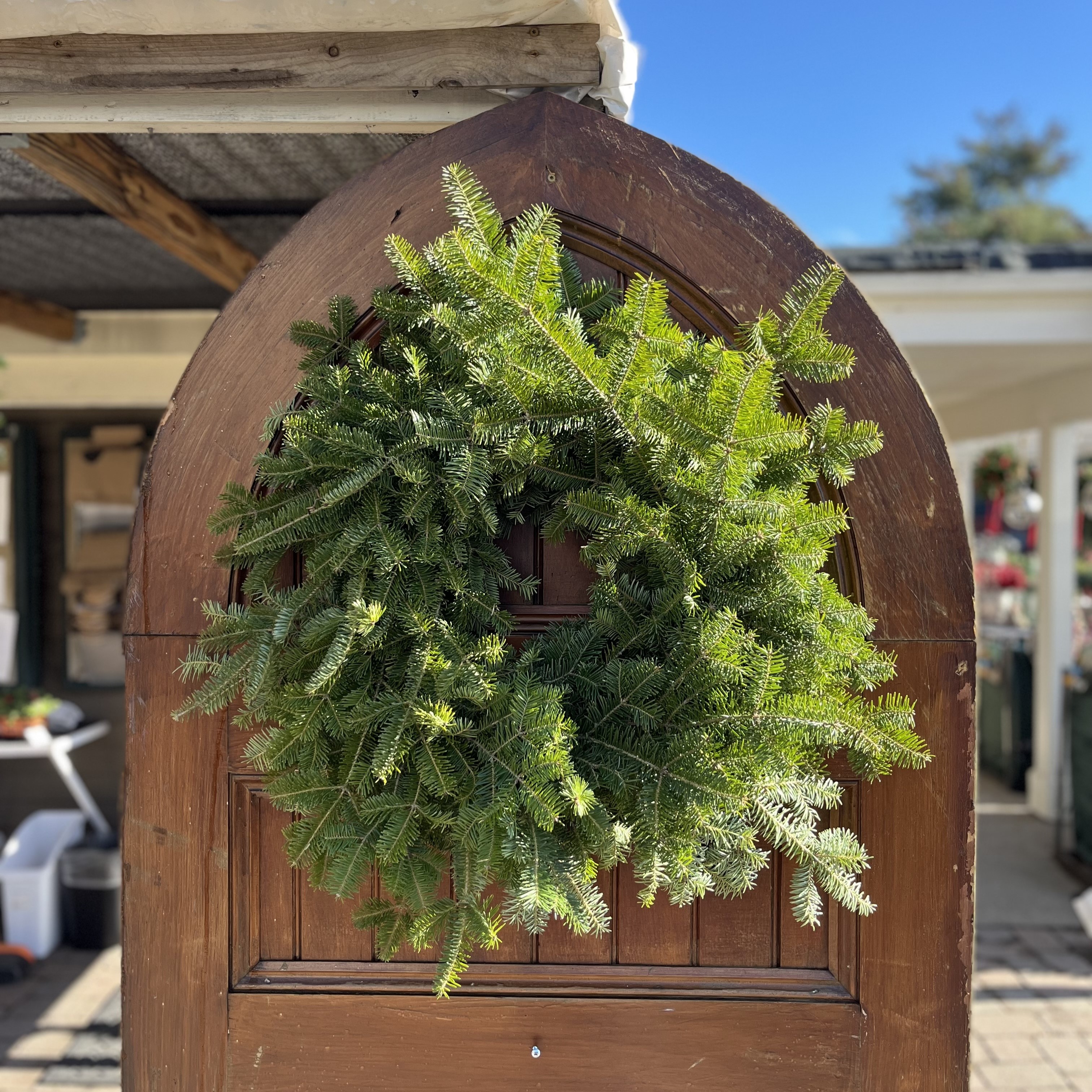 Balsam Wreath 12" Ring, 24" Diameter