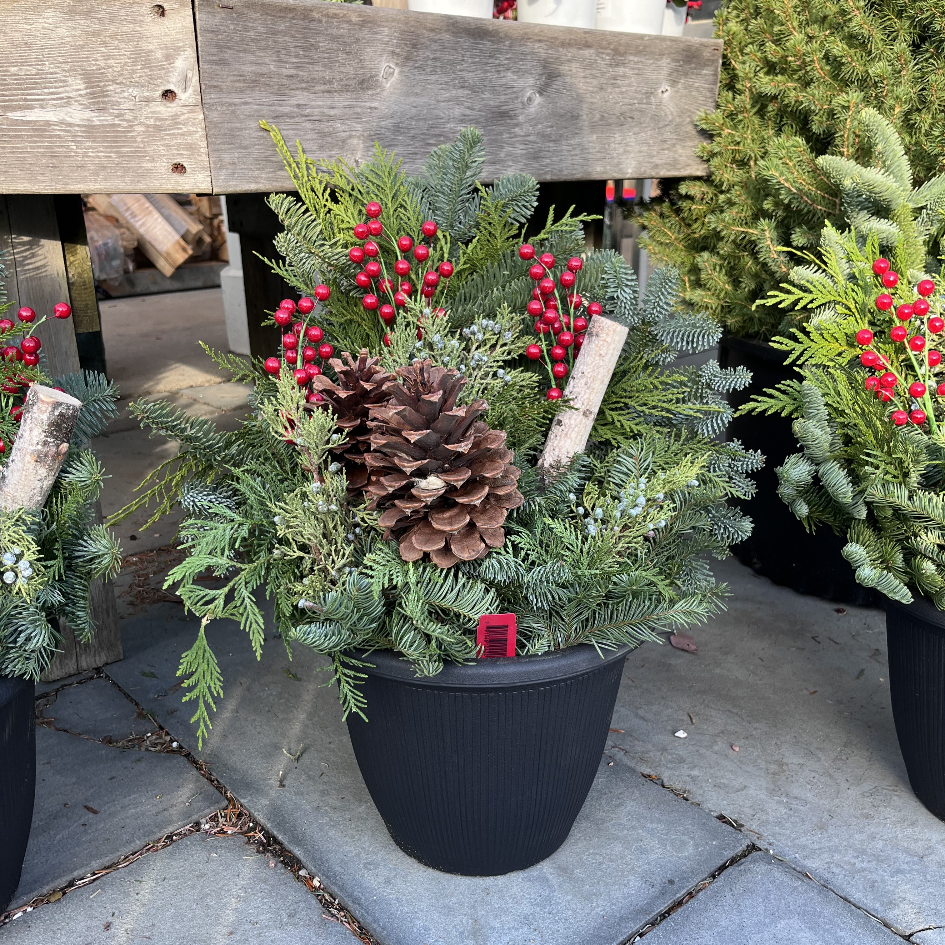 Centerpieces & Porch Pots