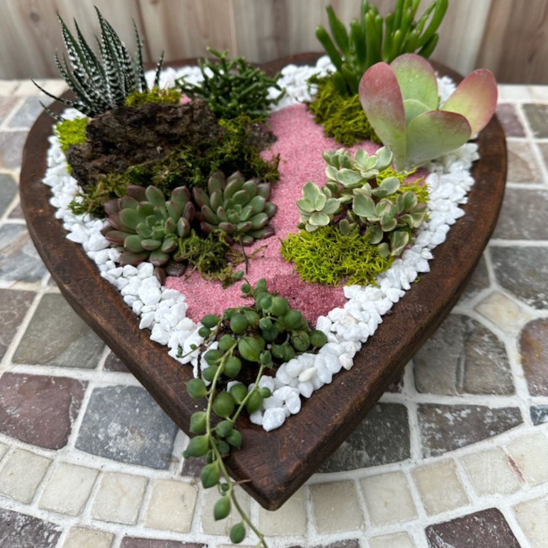 Heart Succulent Garden Workshop