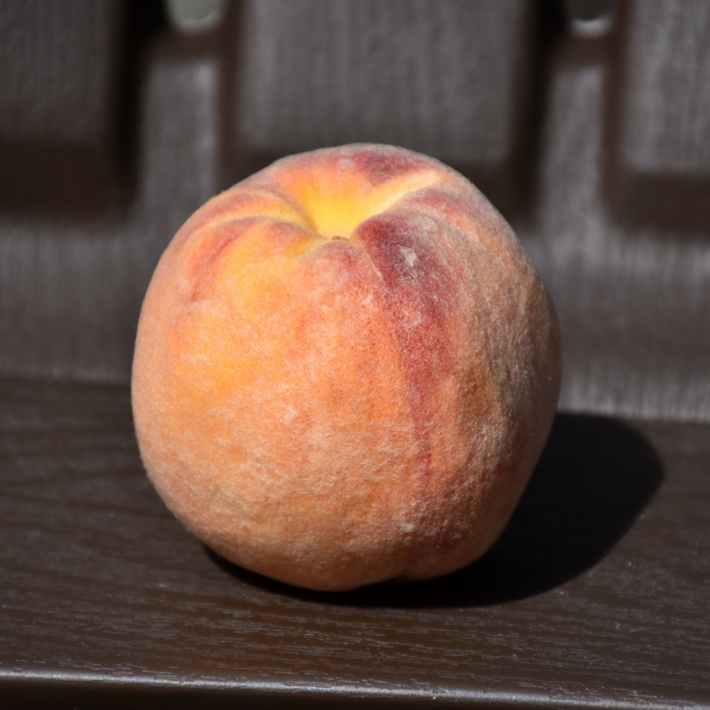 Peach Glohaven