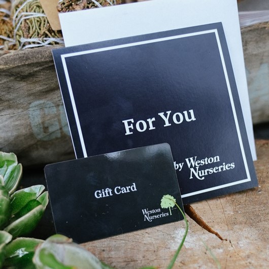 e-Gift Cards