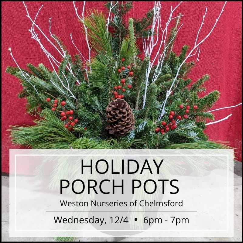 Holiday Porch Pot Workshop - Chelmsford