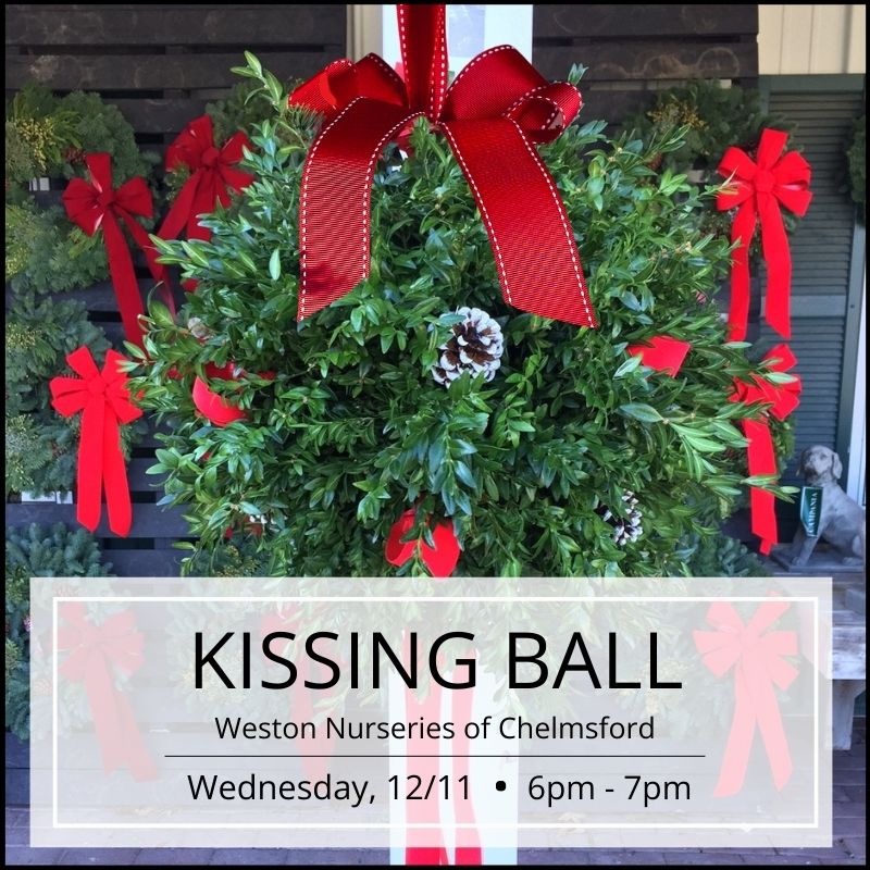 Kissing Ball Workshop - Chelmsford