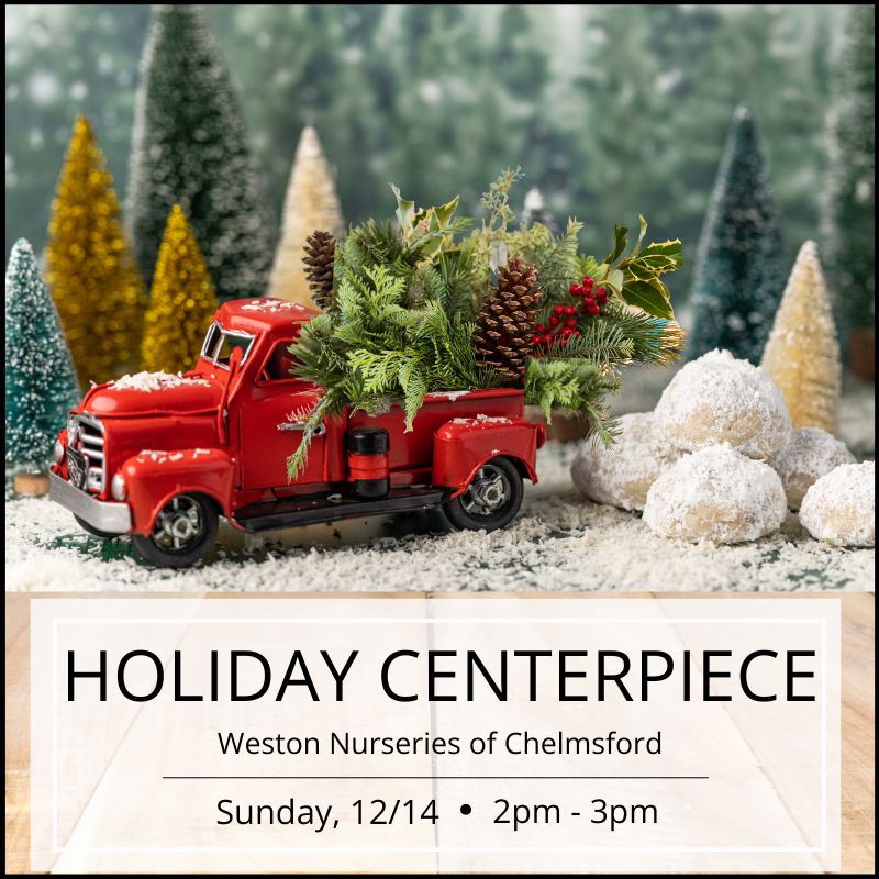 Holiday Centerpiece Workshop - Chelmsford