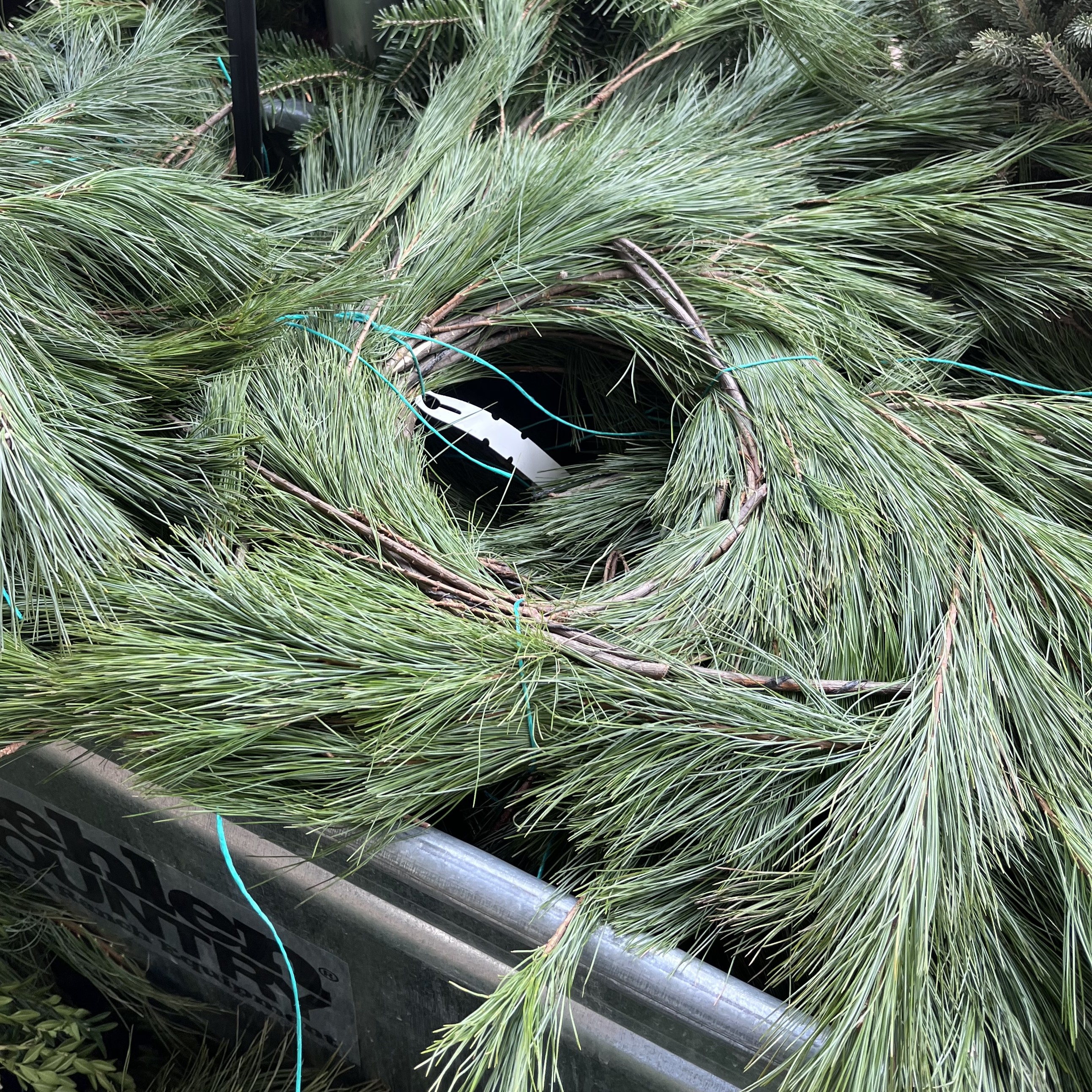 25 White Pine Garland 