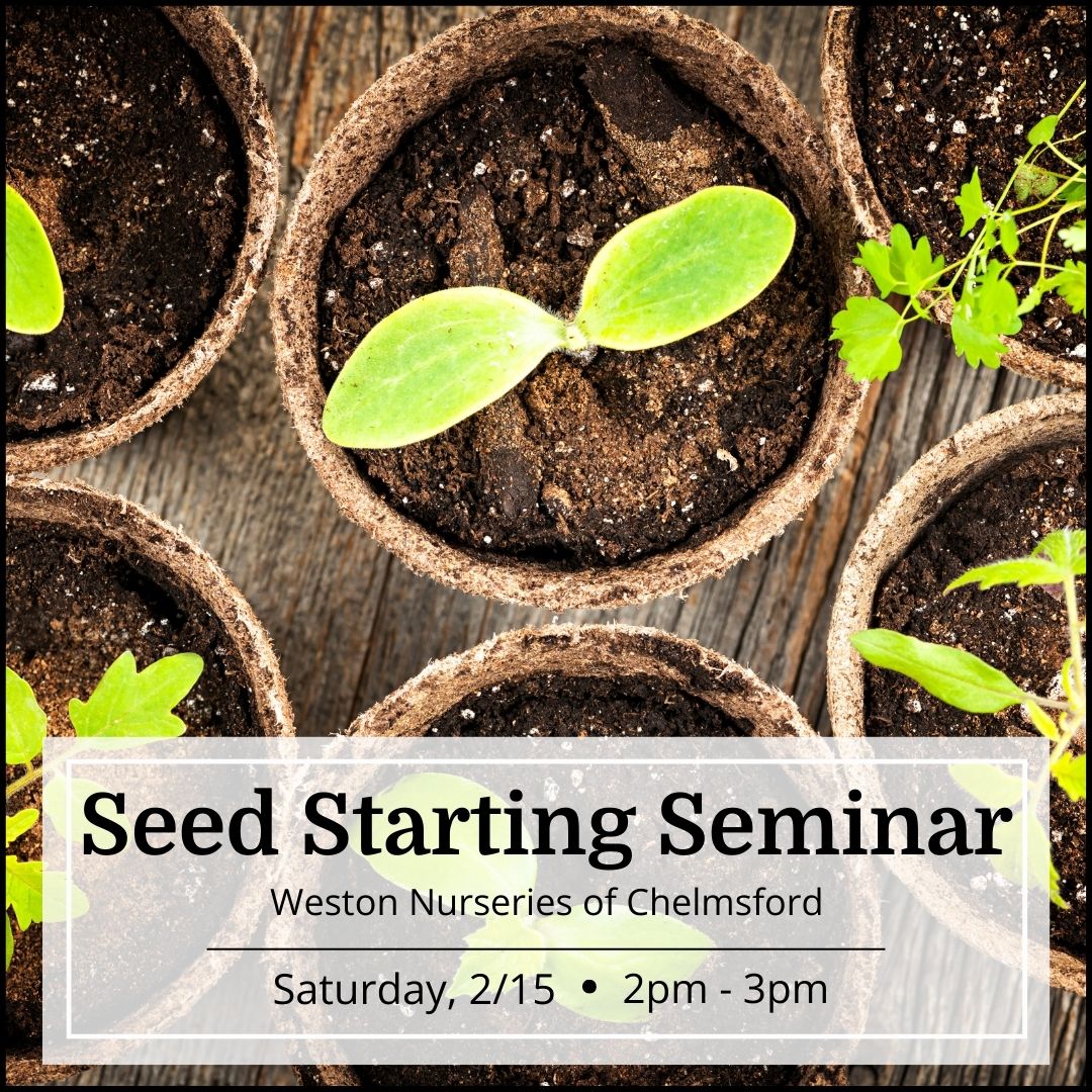 Free Seminar - Seed Starting