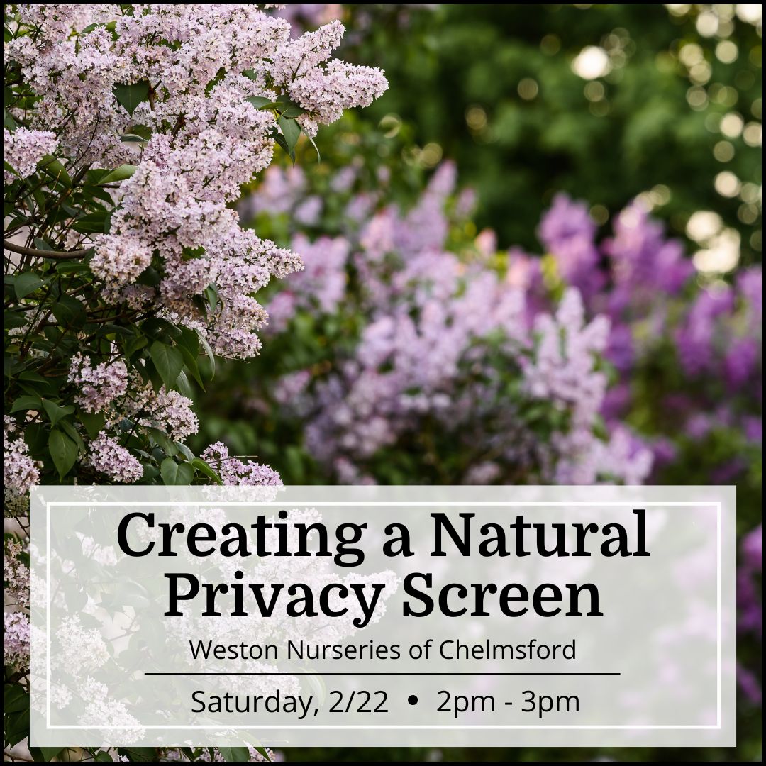 Free Seminar - Creating a Natural Privacy Screen