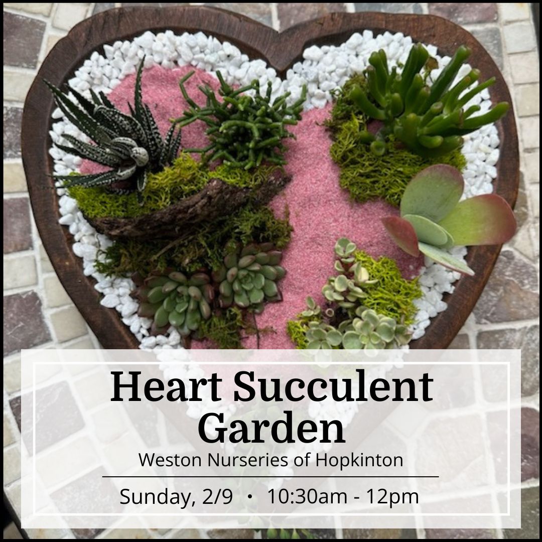 Heart Succulent Garden Workshop