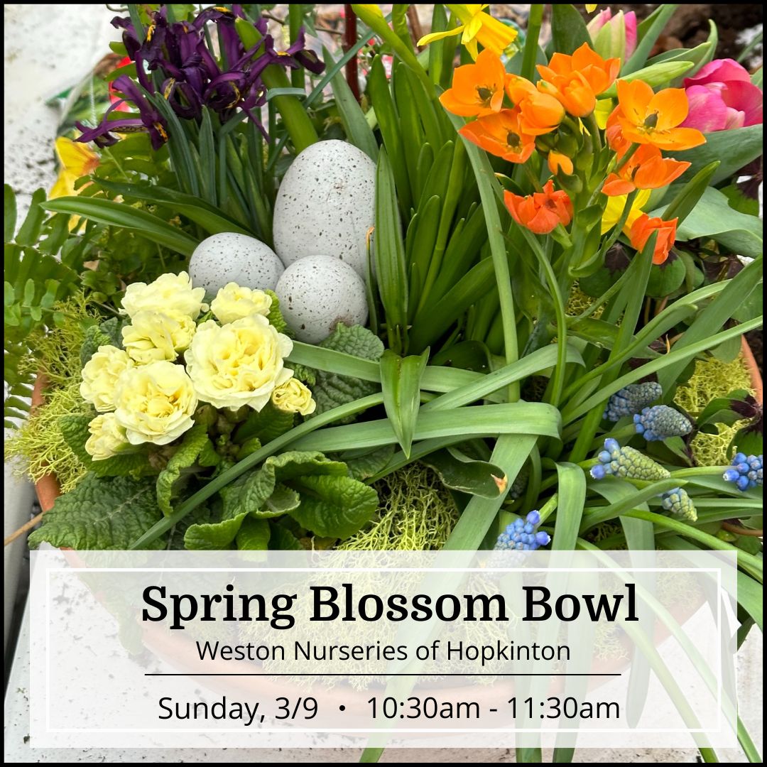 Spring Blossom Bowl Workshop