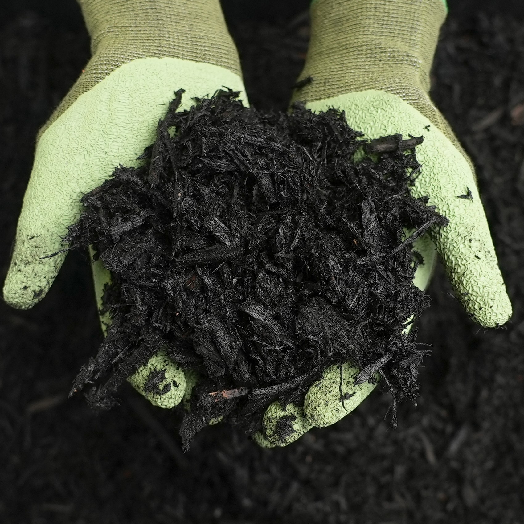 Premium Black Forest Mulch