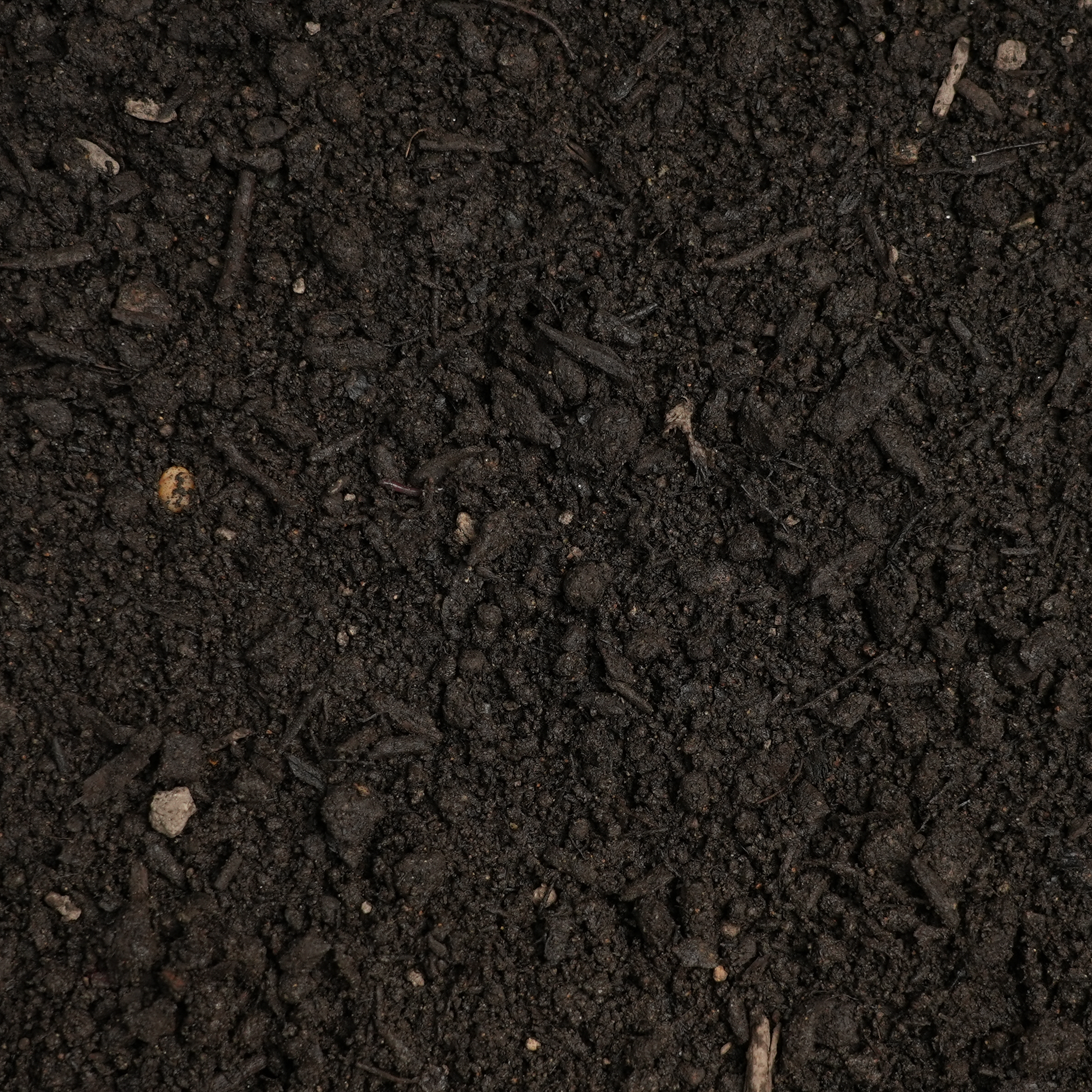 Weston\'s Vegetable Garden Mix