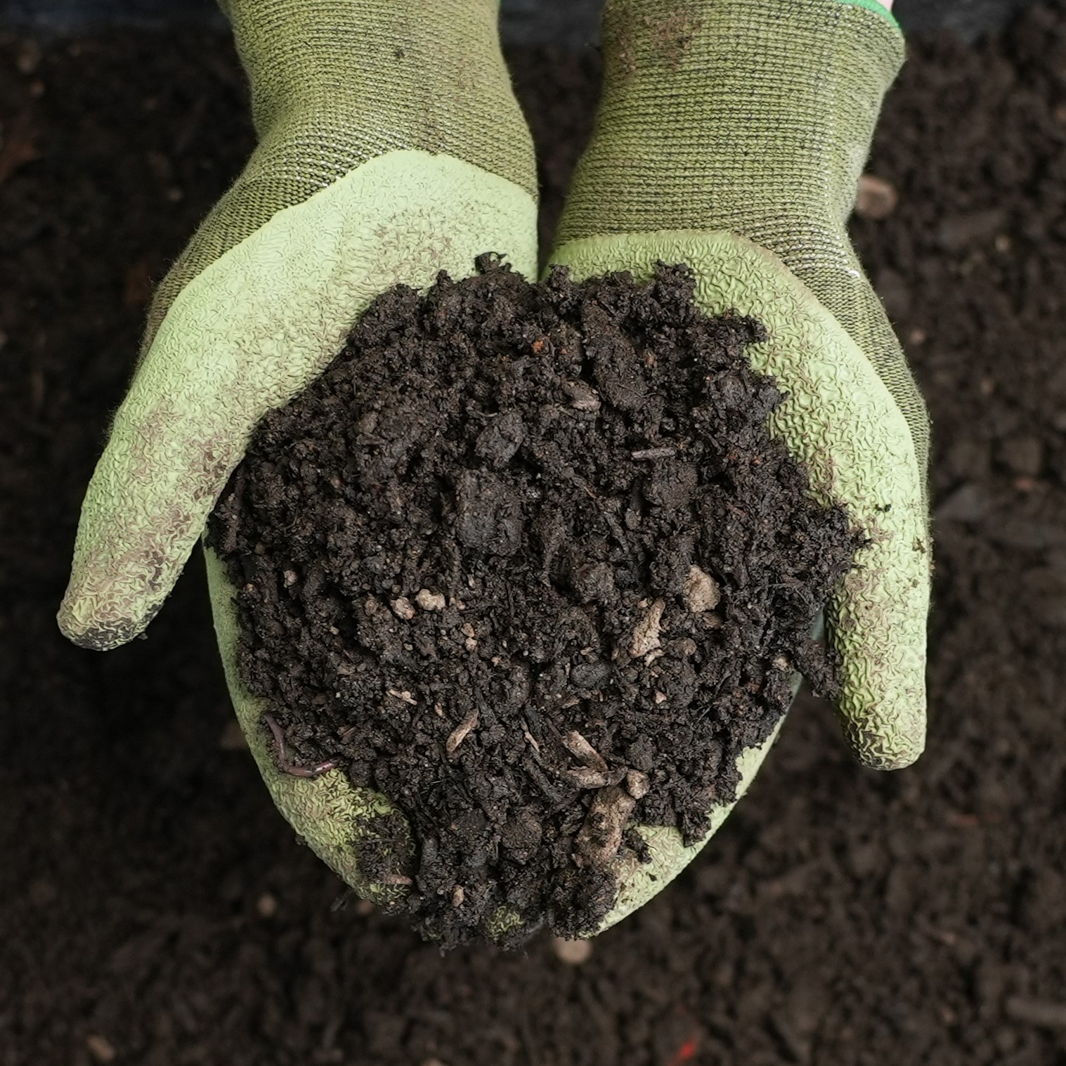 Weston's Vegetable Garden Mix