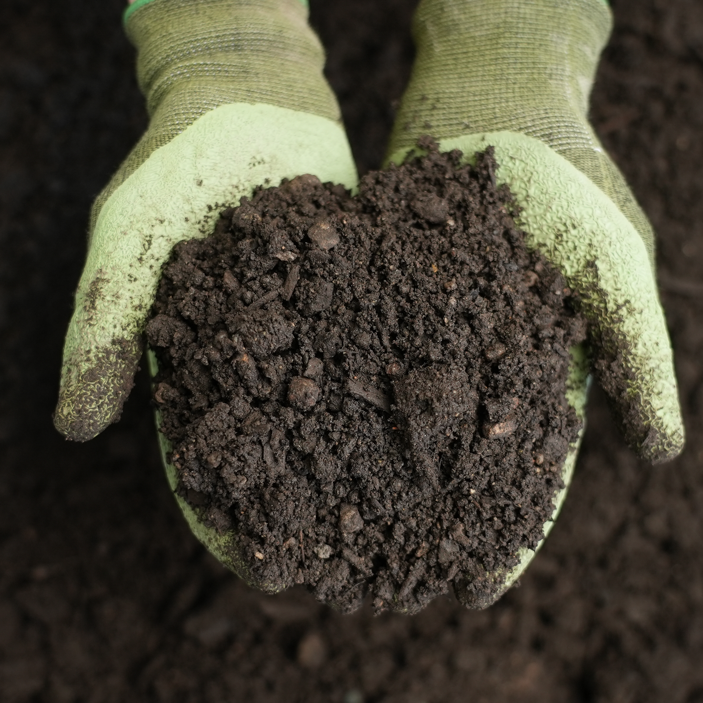Weston's Screened Loam